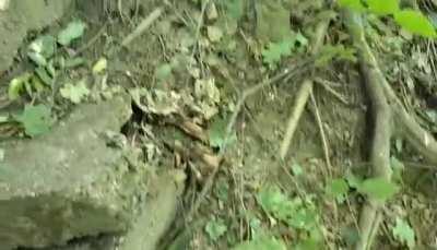 {FUN FRIDAY VIDEO} Hey all! No review today, just wanted to share a fun recent encounter. I went to Chicago last weekend for travel, little mini vacation. I met, and hung out with a long time fan of mine. We had a bite to eat, chatted, and went for a wood