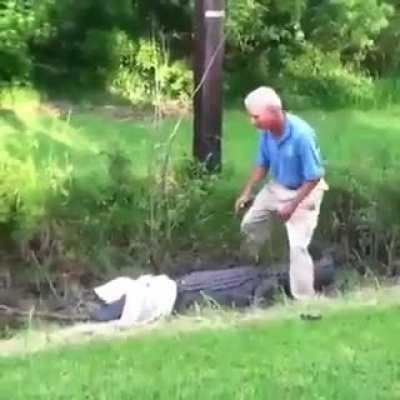 How to Catch a Crocodile