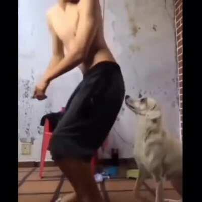 Twerking in front of your dog