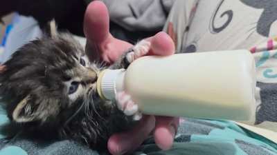 Smeeg practicing for Most Milk Drunk