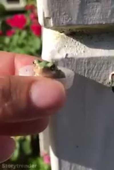 Have a drink little buddy