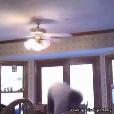 “I’m a dumbass”