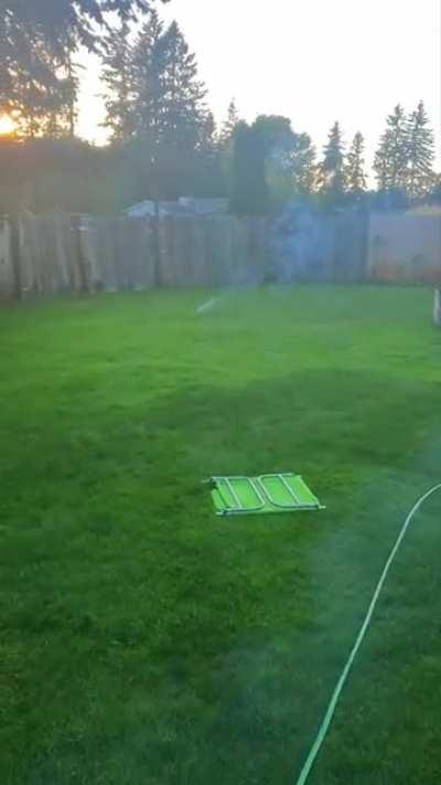 🅱️ottle rocket season is upon us 🅱️rothers