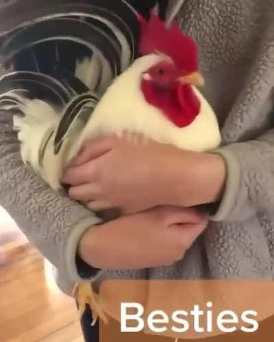 Running to be hugged