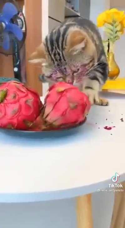 те которые пиздят всё и у всех