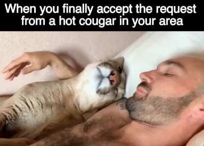 Just about made me puma pants