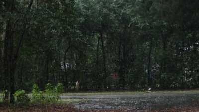 Outside my front door. 😁