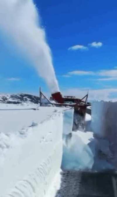 How Chicago has been talking about this “blizzard”