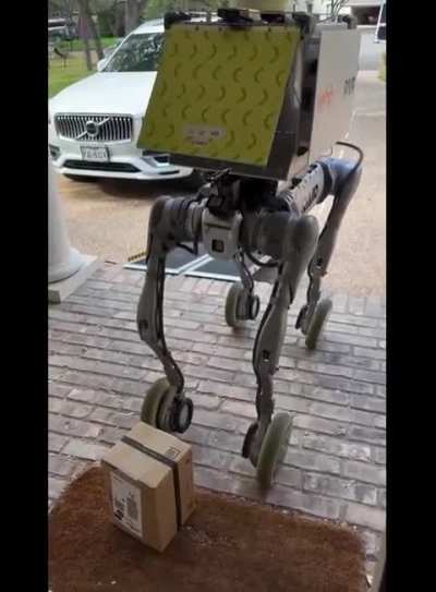 Robot delivering a package