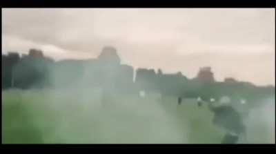 Roman candles on a grown