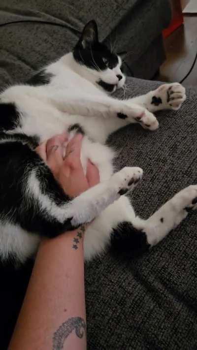 Pouch pets equal Air biscuits