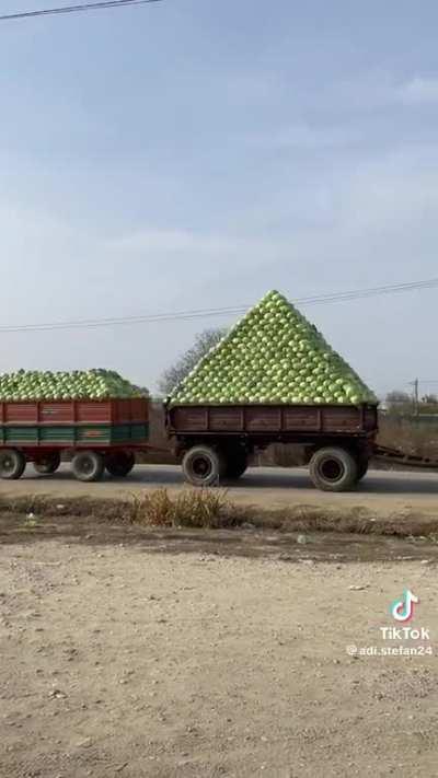 Romanian pyramid 🔥