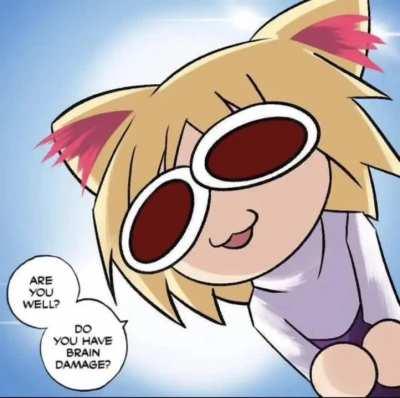 My impression of the silly little cat 😋