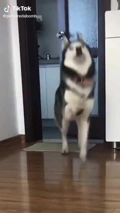 Look how happy this fluffy boi is