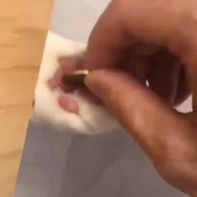 Don't forget to pay the cat tax