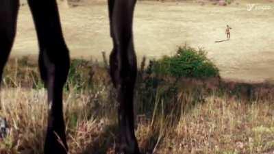 Wow what a watch man