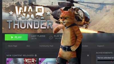 How many hours do you have in War Thunder? (Answer: too many)