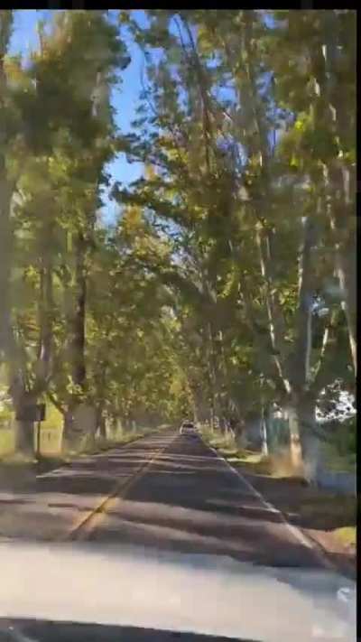 Te animás a disfrutar del finde?