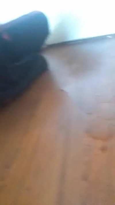 Dirtbag addict dubbed 'Scum' shoots up Monkey Dust thinking it's meth and pisses everywhere