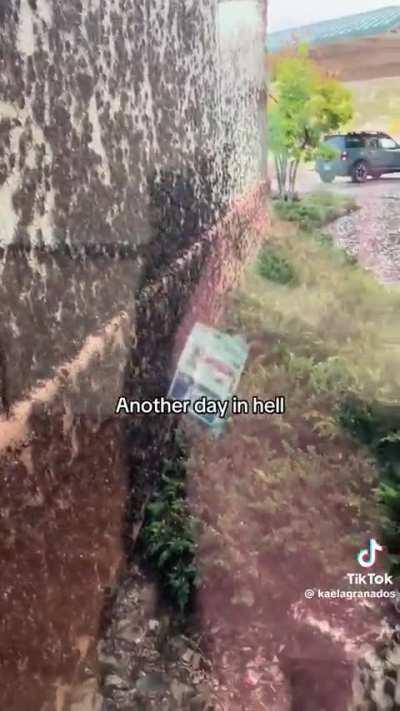 Anyone got a flamethrower?