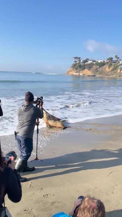 What an amazing thing to stumble upon.