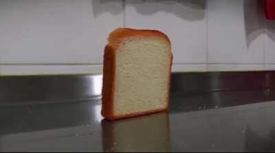 Fuck the weelchair cat