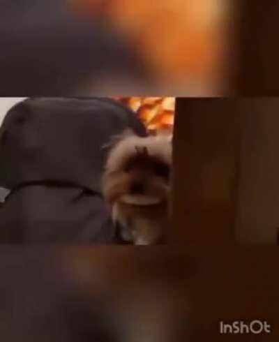 У вас упало