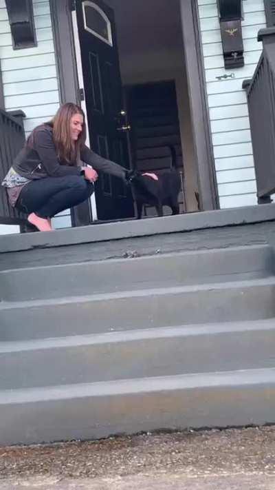 Not my cat but with humans [OC]