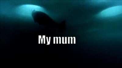 *exits browser immediately*