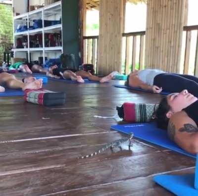 To relax in Savasana