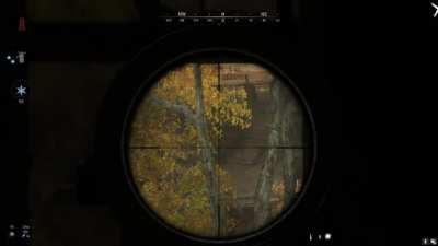 Spot the Cain (do you see him?)