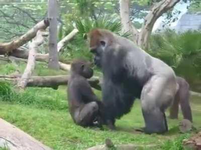 Kid's prank doesn't amuse dear old dad