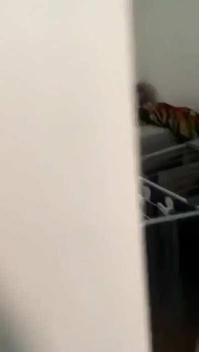 Don‘t do drugs kids...