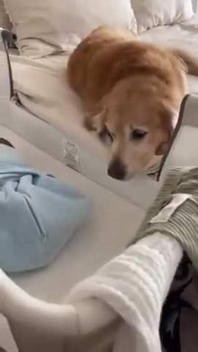 Those who teach us love and humanity are not always people...