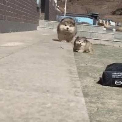 All right, shall we repeat once again