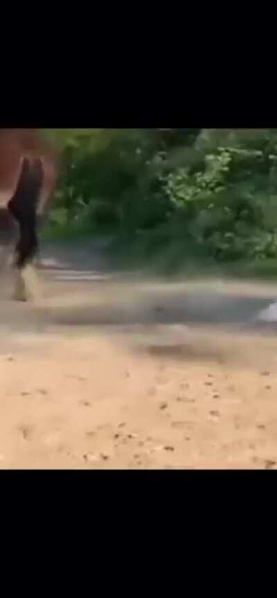 Could’ve just minded his own business