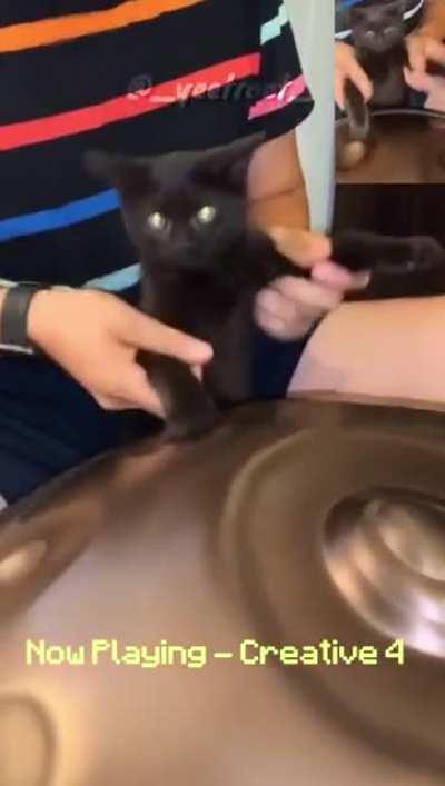 CatBox is coming in 1.17