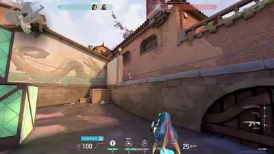 Big brain Reyna dismiss