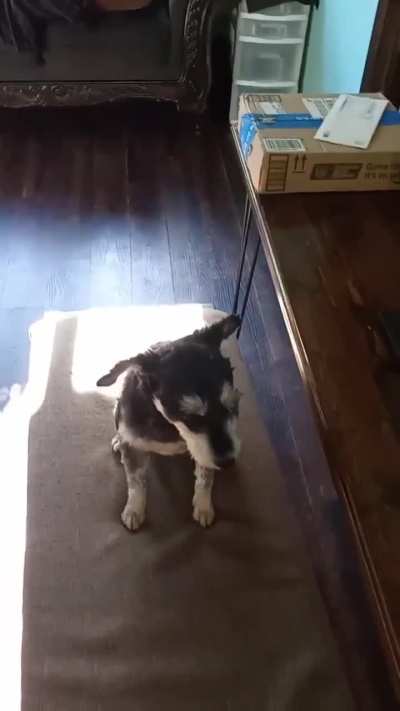 Singing the song of her people, with her big brother on Zoom