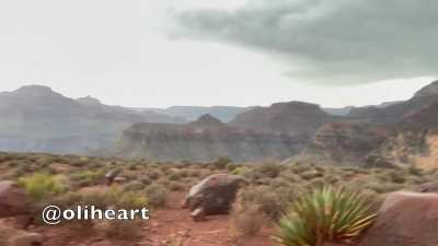 I am the best kind of hiking partner