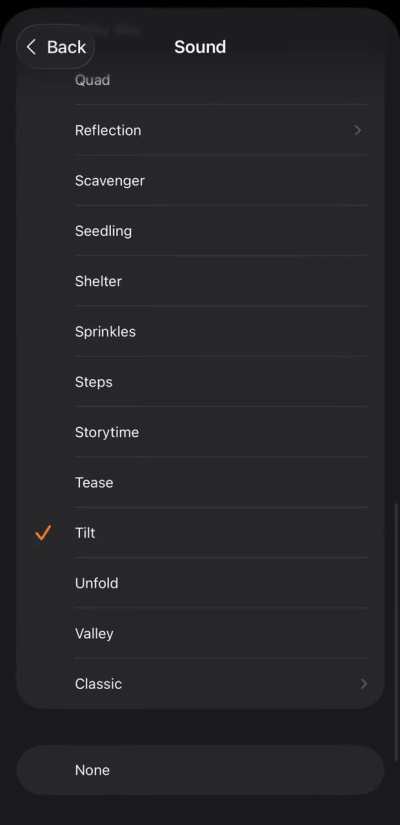 “I loved it very much, I made the song my alarm.”