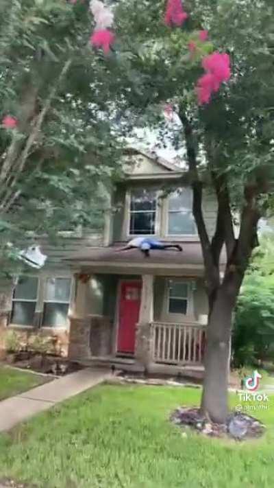 mAn KiLlS 3 PeOpLe IN CaR AcCiDeNt