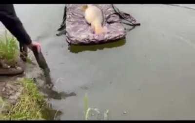 Maybe it will flop out