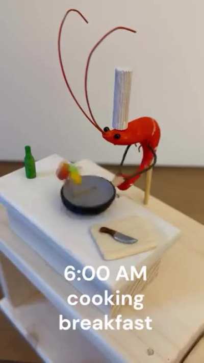 hank living his life