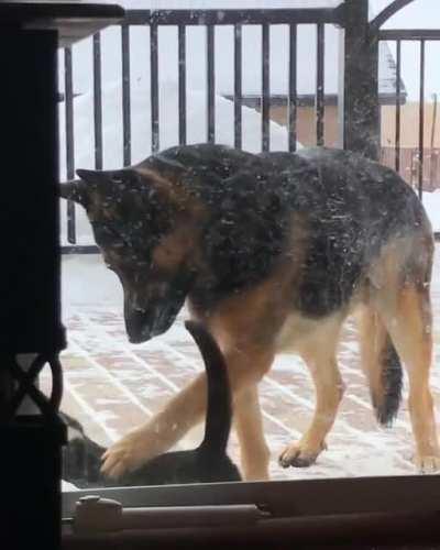 I think they got the message