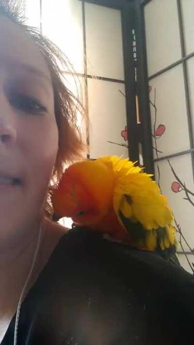 Where will YOU be when the party drugs kick in?