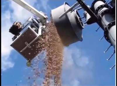 150 Kilograms Of Acorns Stored By A Squirrel In A Transmitting Antenna