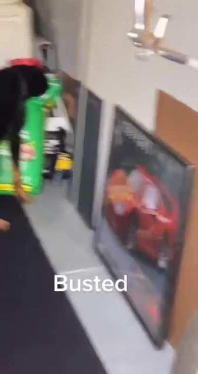 How do I send this to my dog?