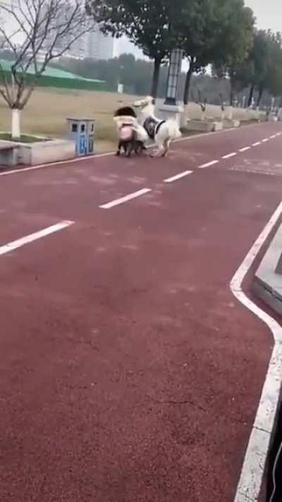 There hasn't been a more Fuck you in Particular that this.