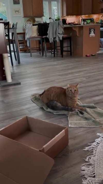 Newt, the crusher of dreams.